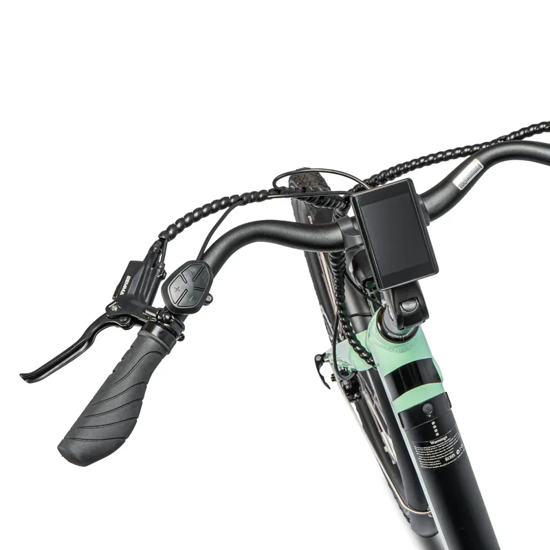Ampere Deluxe Step Through 26 Inch Wheel Electric Bike Green-4